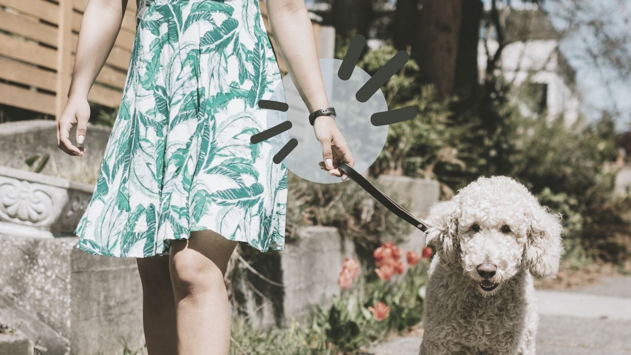 Fitness tracker frau gassi hund