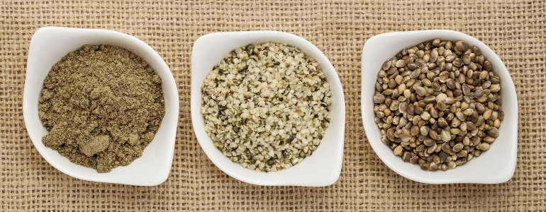 hanfprotein vegan