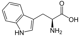 L-Tryptophan svg_