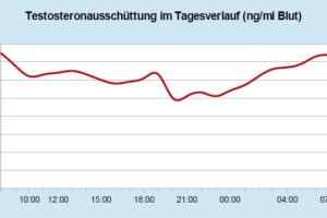 Testosteronausschüttung