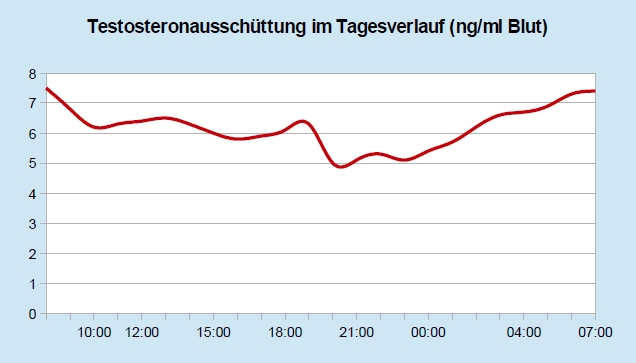 Testosteronausschüttung