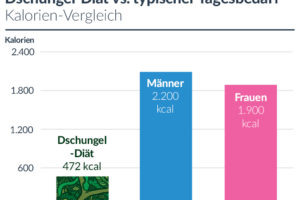 dschungel-diaet