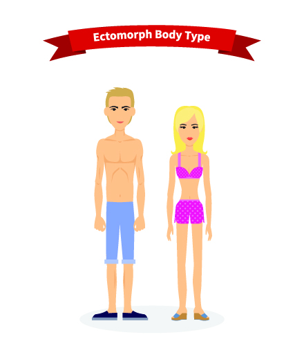 ectomorph-körpertyp körpertyp