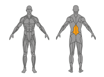 hyperextensions unterer ruecken