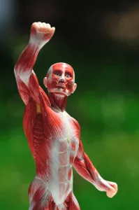 sixpack sixpack