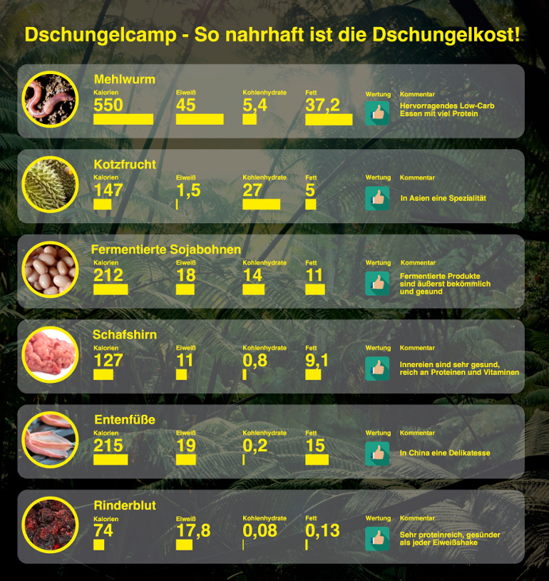 so-nahrhaft-ist-die-dschungelkost