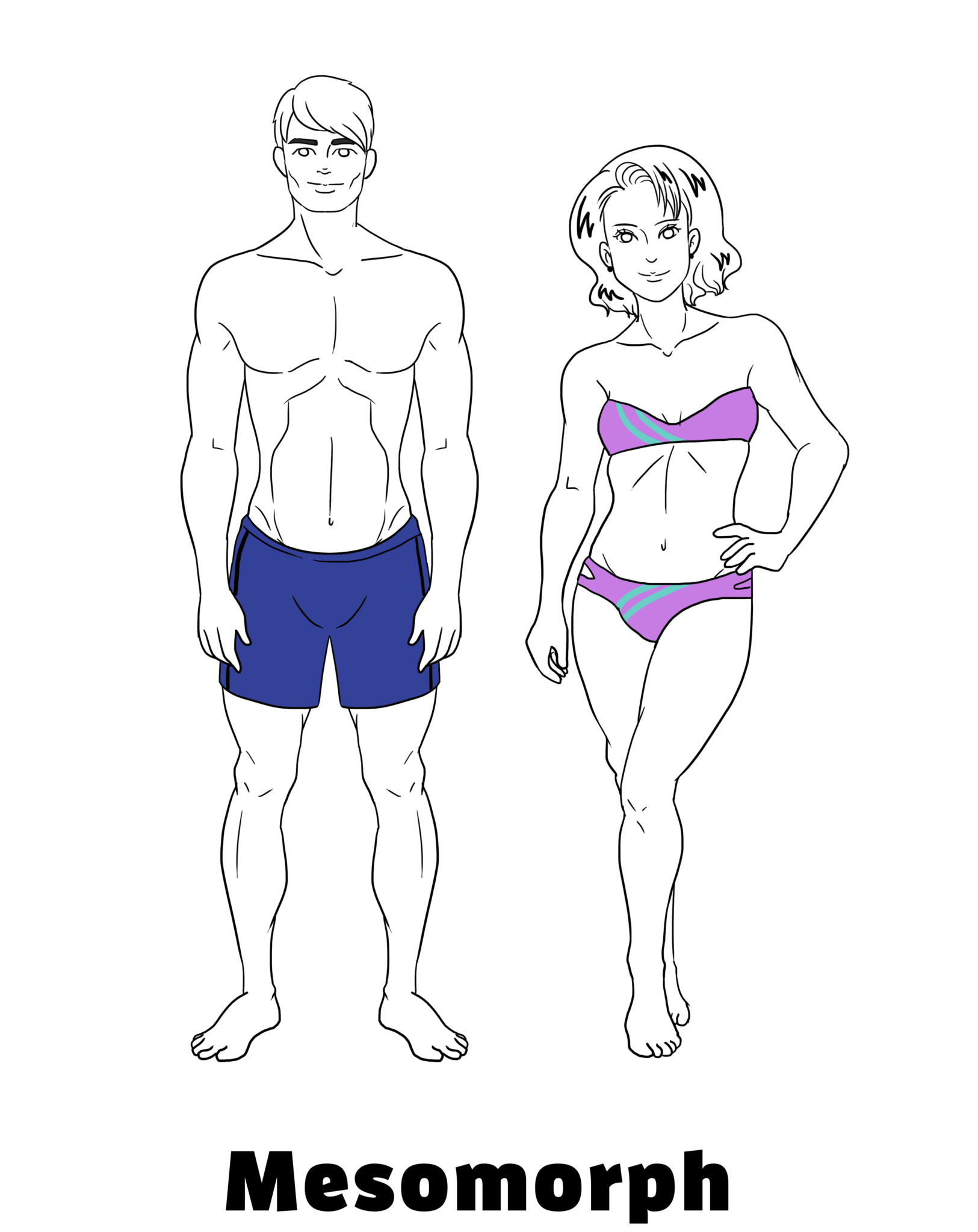 ᐅ Der Mesomorphe Stoffwechseltyp Mit Den Besten Trainingstipps